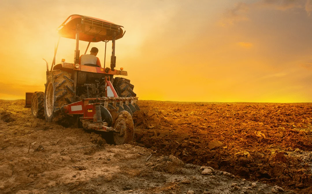 Agronegócio – Cal para correção de solo e agricultura