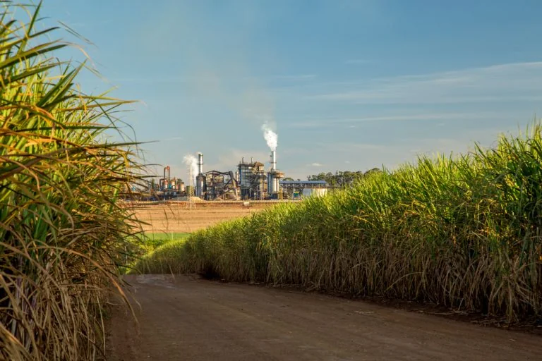 Setor sucroenergético – Cal para usinas de açúcar e álcool